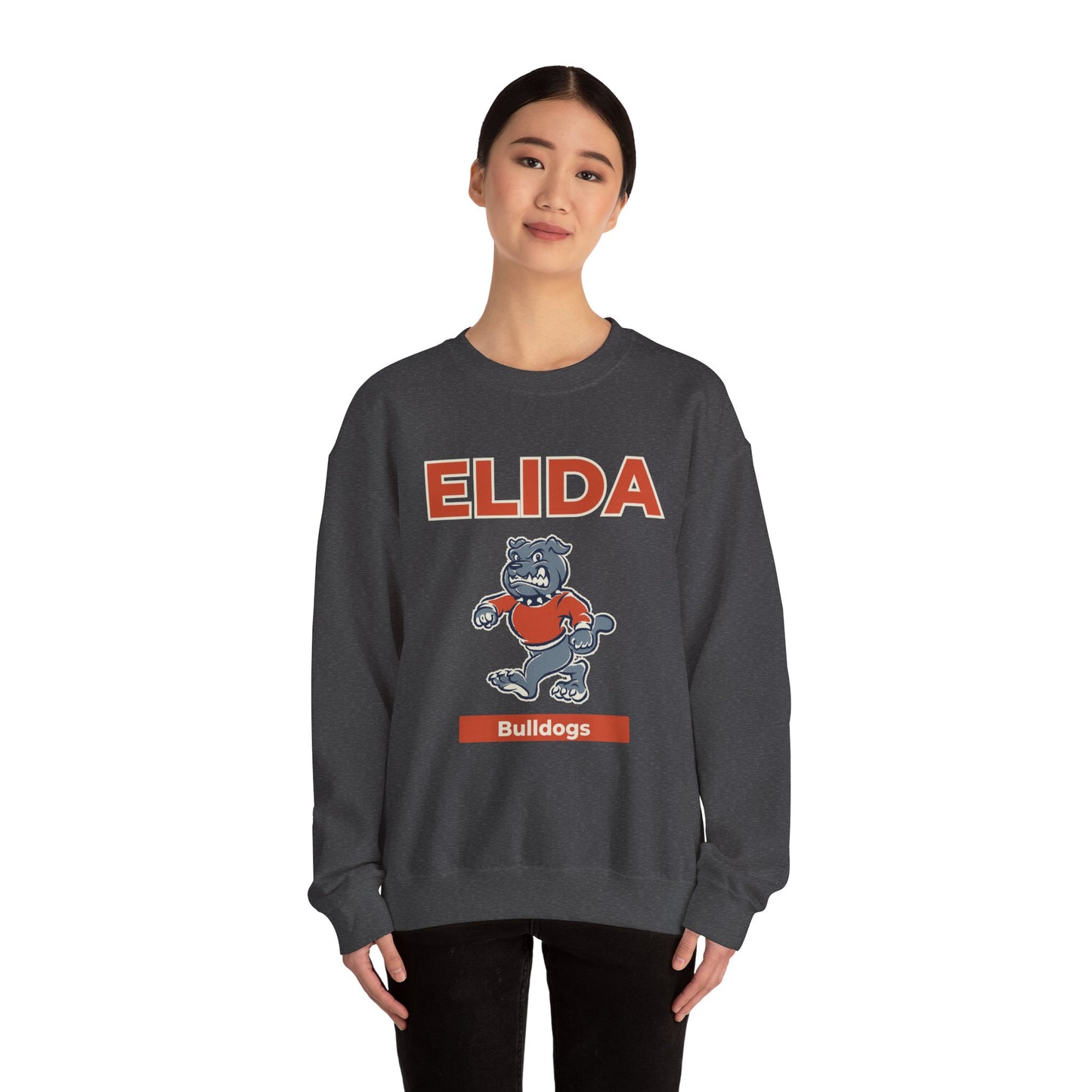 Elida Retro Crewneck
